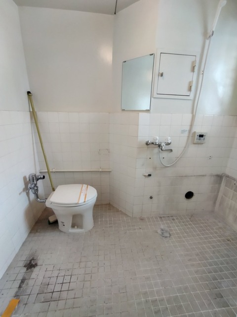 BiVZCmBWRD2eeizzWTNovg (1)