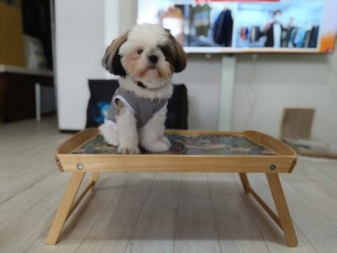 -UQkieynTOShvdIepPzutw