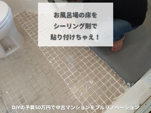 ミニマリノベひながた (5)