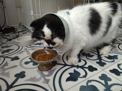 XkLnHRV1S3uZtPfOubmk_A