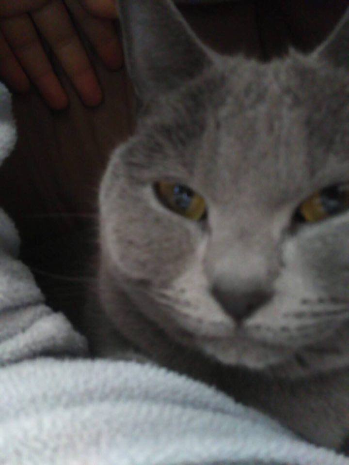 f:id:jikobukken:20170313193846j:plain