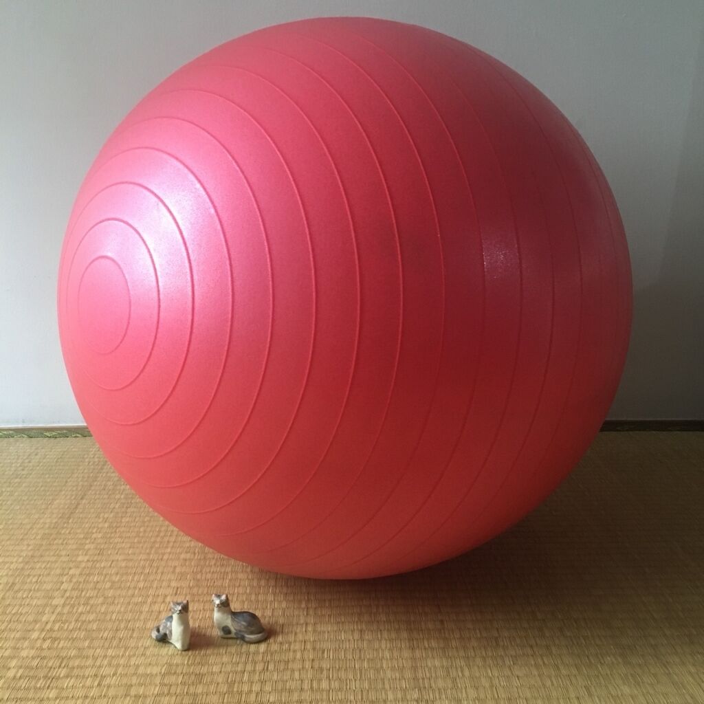 写真あり 10ヶ月間 バランスボールを椅子の代わりに毎日使ってみた感想 ていない ていねいじゃない暮らしのブログ Powered By ライブドアブログ 写真あり 10ヶ月間 バランスボールを椅子の代わりに毎日使ってみた感想 ていない ていねいじゃない暮らしのブログ Powered By ライブドアブログ