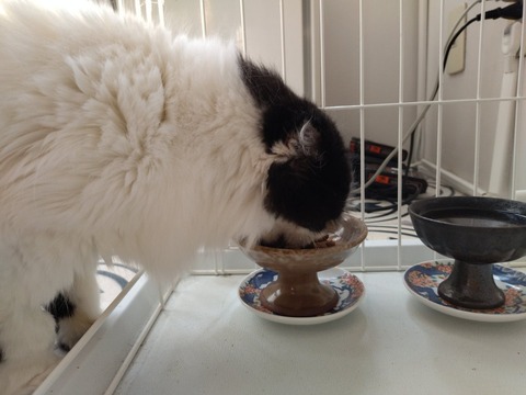 gR-lgN-KTDOZm-OFJtgeLw