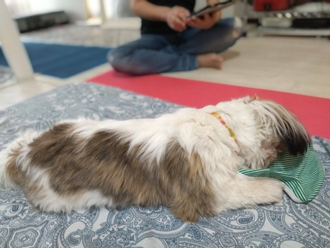 DELN9LMNTnO6iujmq1l6ow