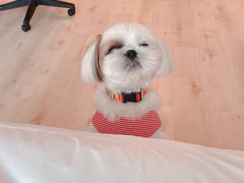 2022-07-07_11-23-36_355