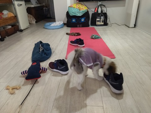 t7LbHvEWR4qzml7m8DAKpQ