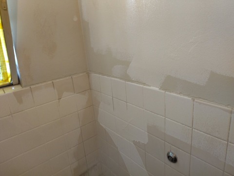 c0DpzzhiSRyHZneKoTUWRw