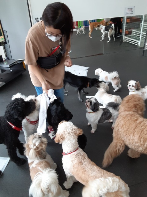 240281801_4341450129267623_4723811220462652197_n