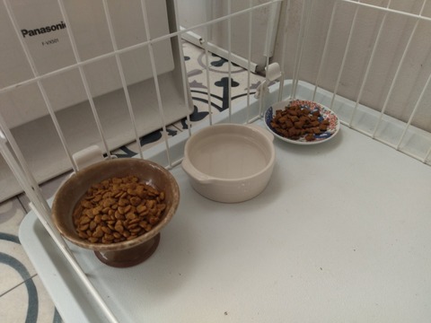 ce66Y1KFTAGXv8txF7eNSw