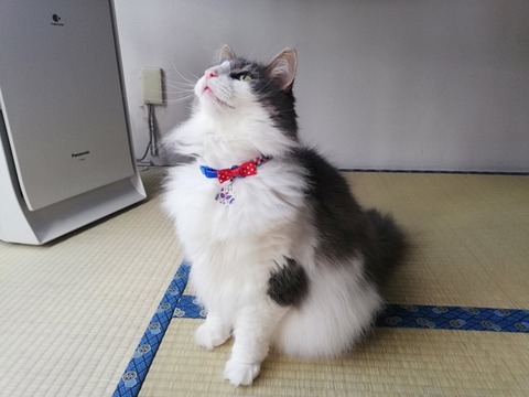 BdtqRKhZRP-h8gqKyRiVLg