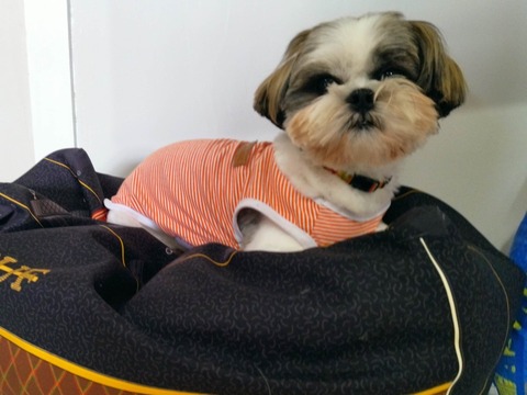 6kHojtQhT3K9tuKI8cXDkA