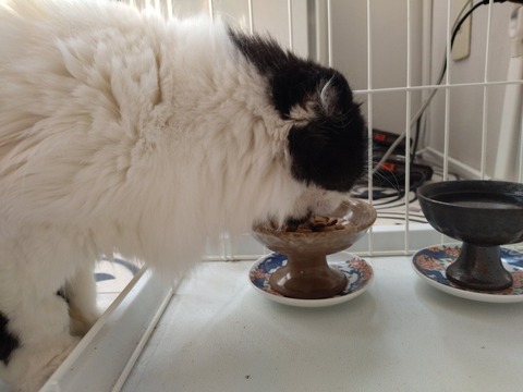 JtbKbSODQ3yLiEFxiYswuA