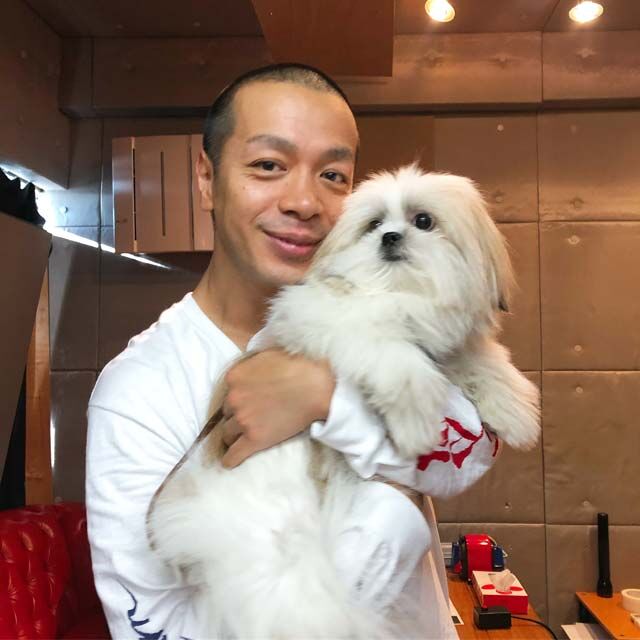 インスタで大人気のミックス犬 モコゾウ を調査 本秀康の愛犬がかわいい ていない ていねいじゃない暮らしのブログ Powered By ライブドアブログ インスタで大人気のミックス犬 モコゾウ を調査 本秀康の愛犬がかわいい ていない ていねいじゃない暮らしのブログ Powered By ライブドアブログ