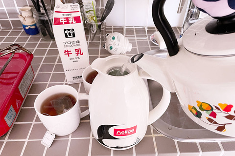 ヘリオスサーモキャット