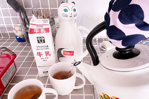 ヘリオスサーモキャット