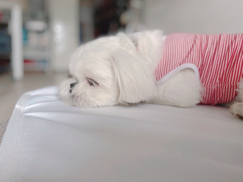 2022-07-07_07-37-38_459