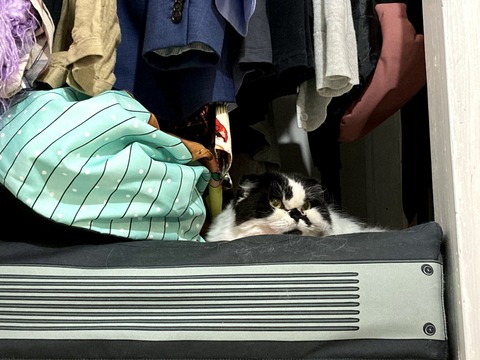 mGxrvfowTYWNte49VJxA2g