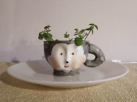 増田光さんのマグカップ「3 Faces Mug-Color」