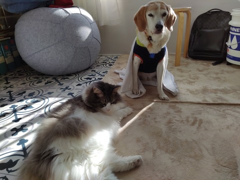 5WhBtjqlTNa3U-EpThDn8Q