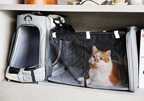 おしゃれな猫キャリーバッグおすすめ10選 ブログやインスタで人気猫のペットキャリー ていない ていねいじゃない暮らしのブログ Powered By ライブドアブログ おしゃれな猫キャリーバッグおすすめ10選 ブログやインスタで人気猫のペットキャリー ていない ていねいじゃない暮らしのブログ Powered By ライブドアブログ