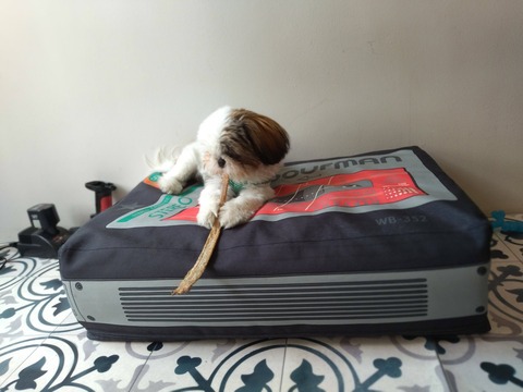 S209YJFZSfOjbsANjODPcQ