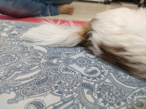 2DN7rE59RcS0_8fyS7nw_w