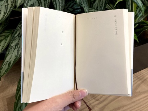 新潮文庫マイブック2022は文庫本なのに日記帳|何を書く?使い方を考察