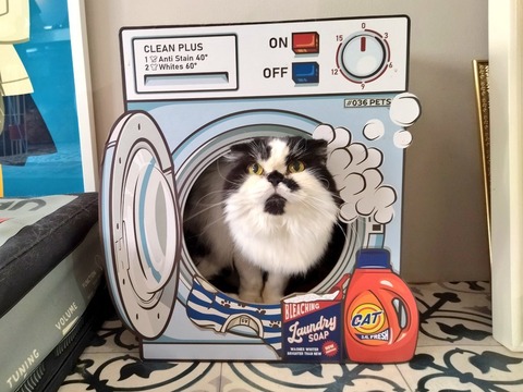 RE65pVhIQXe_o-uXFC0pAA