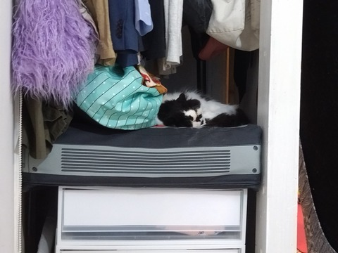 cCE7EGPbRpS_3Eg9oTVQFA