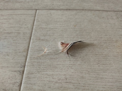 RFkzDpEmQ_iRMtZsLORXKg