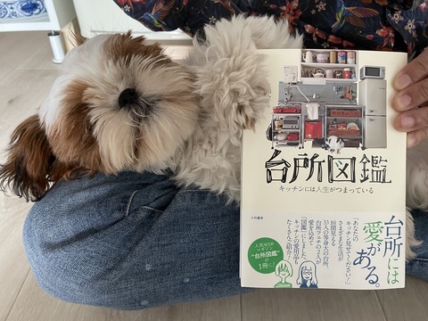 著書が手元に届きました&3年ごしの夢が叶いました【台所図鑑】 : ていない（ていねいじゃない暮らしのブログ） Powered by ライブドアブログ