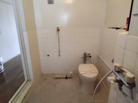 ミニマリノベひながた (18)