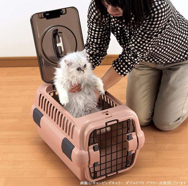 おしゃれな猫キャリーバッグおすすめ10選 ブログやインスタで人気猫のペットキャリー ていない ていねいじゃない暮らしのブログ Powered By ライブドアブログ おしゃれな猫キャリーバッグおすすめ10選 ブログやインスタで人気猫のペットキャリー ていない ていねいじゃない暮らしのブログ Powered By ライブドアブログ