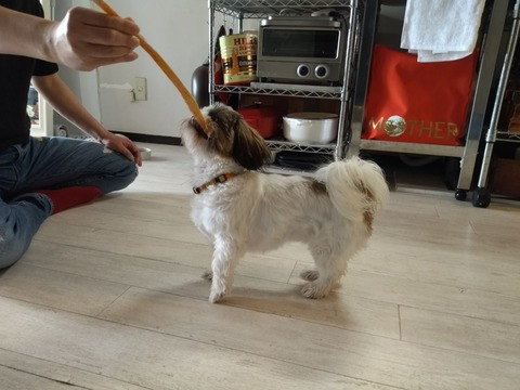 TbUCHc8HREOBM1nEp8ooTg