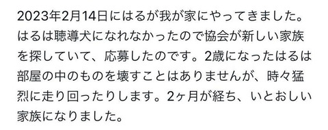 346095567_2039249213093099_3410809363570252241_n