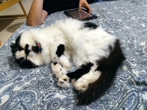 noD9AaLUT2-Y68yp_XY0pw