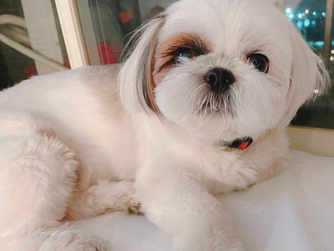 2022-07-10_22-57-46_238