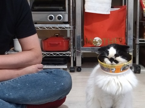 P5UiLOUKTym-PQV0BNuOkA