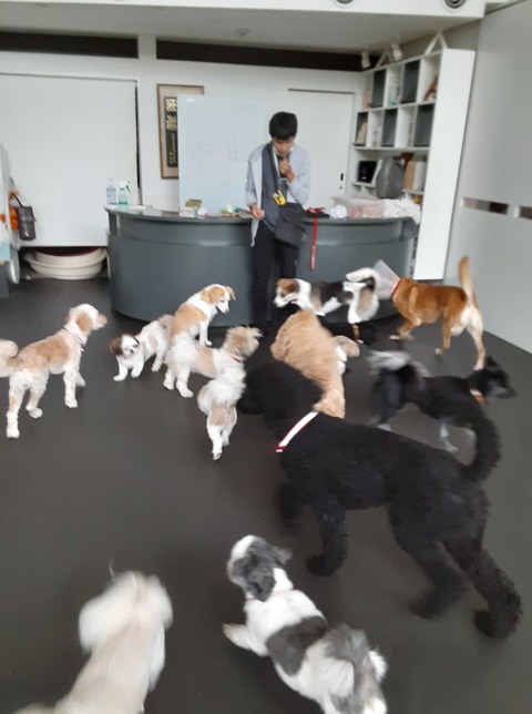 241362473_4341683142577655_3297849135492400492_n