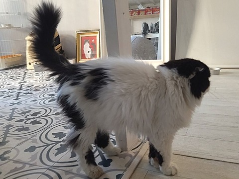 ミニマリノベひながた (8)