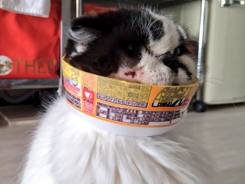 3N4W0gq1QdOpp0vnAXC4fA