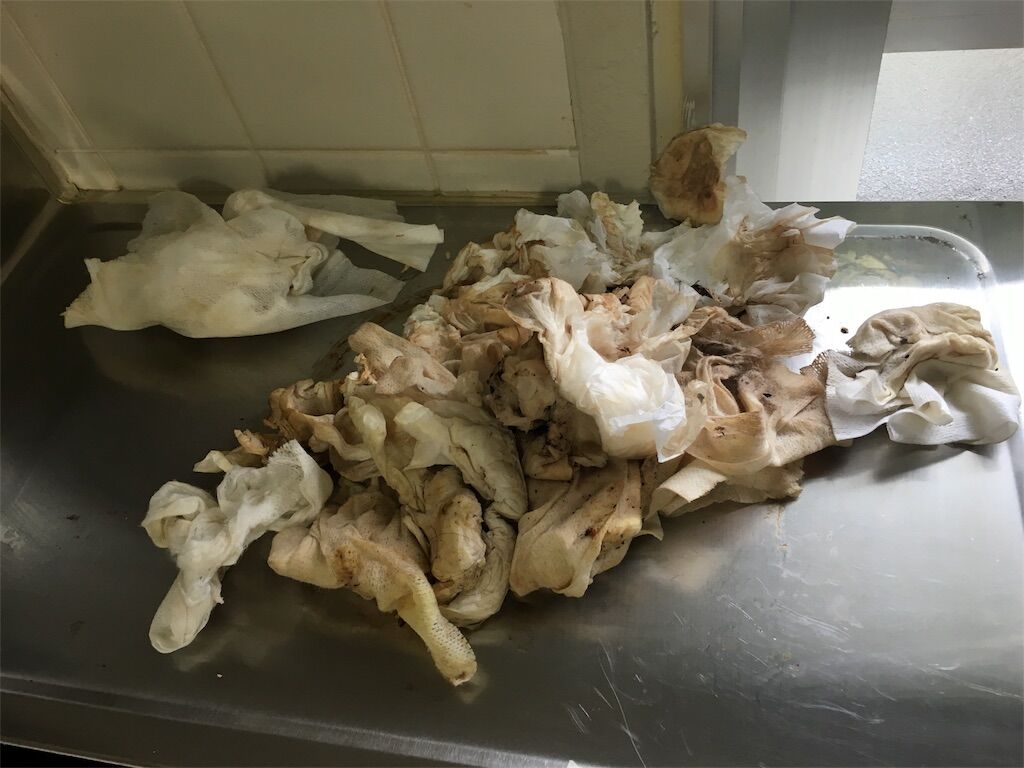 f:id:jikobukken:20170613020316j:image