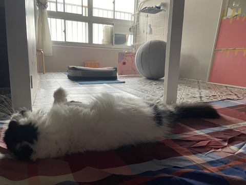 2022-05-14_07-49-23_747