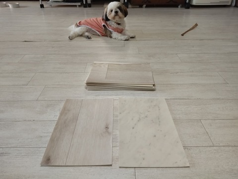 ペット用クッションフロアをDIYリフォーム完了！｜サンゲツ・リリカラ・シンコールの違いまとめ