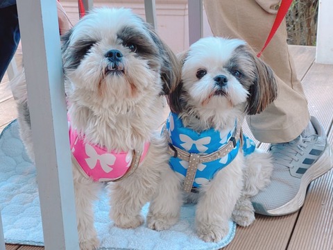 2023-02-05_19-51-59_711