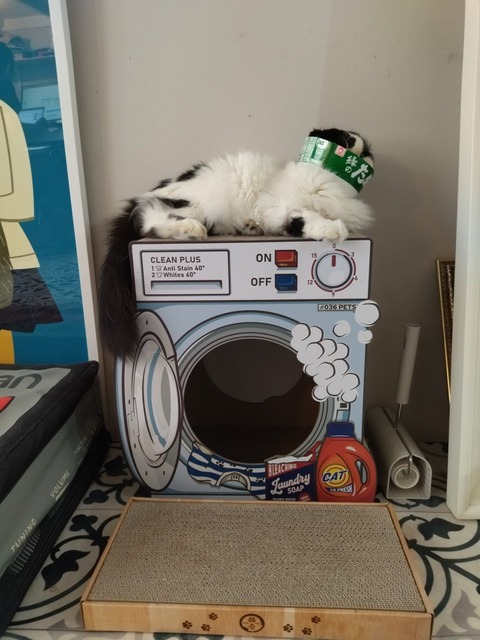 XBhsR4N8RNGqhCpGWruF_Q