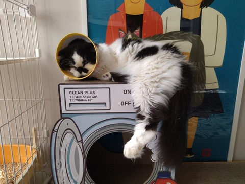 YYDJD7c0SASraKRXNTthZA