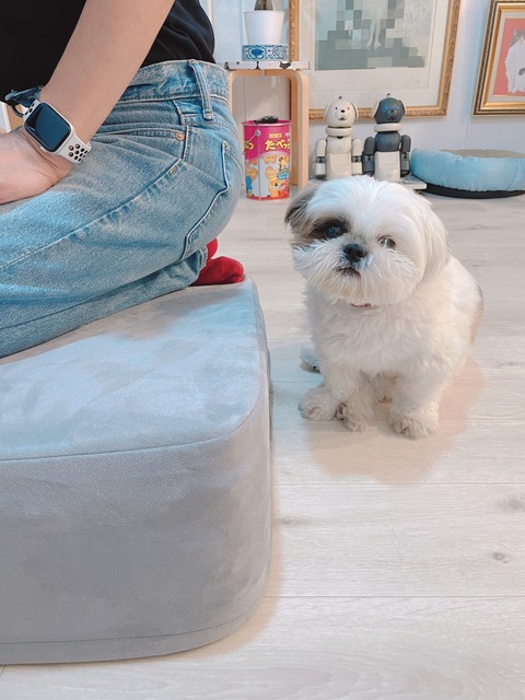 2022-10-01_19-36-36_543