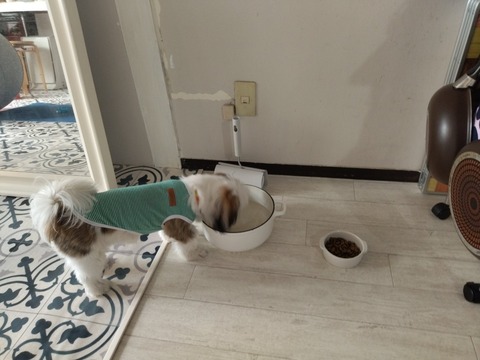 blksonogSbaYazJ402KGJQ