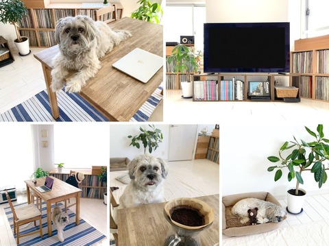 画像はソフトAURAで加工